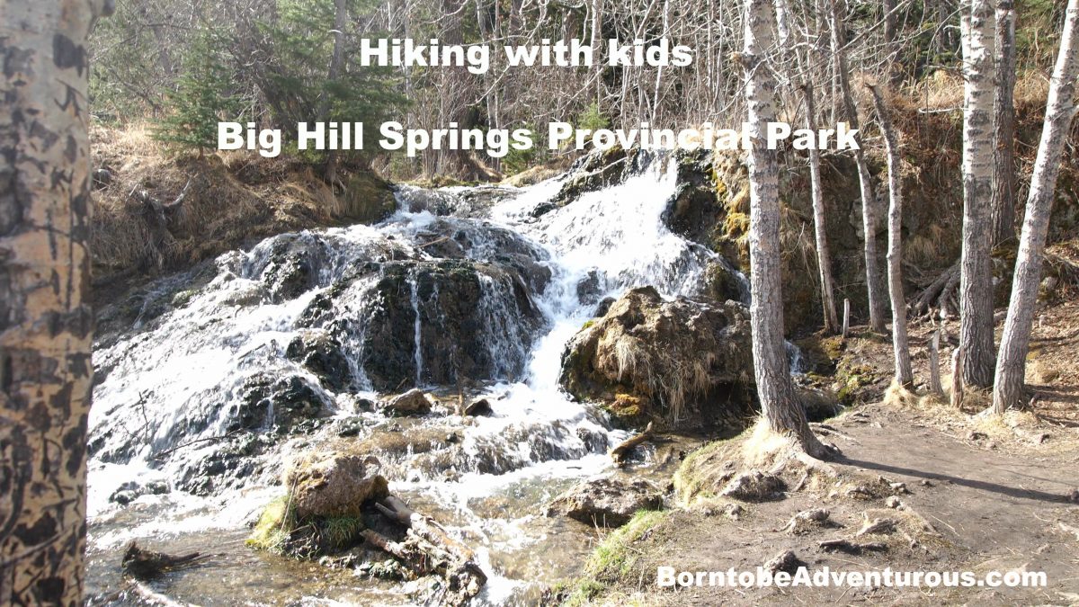 Big Hill Springs