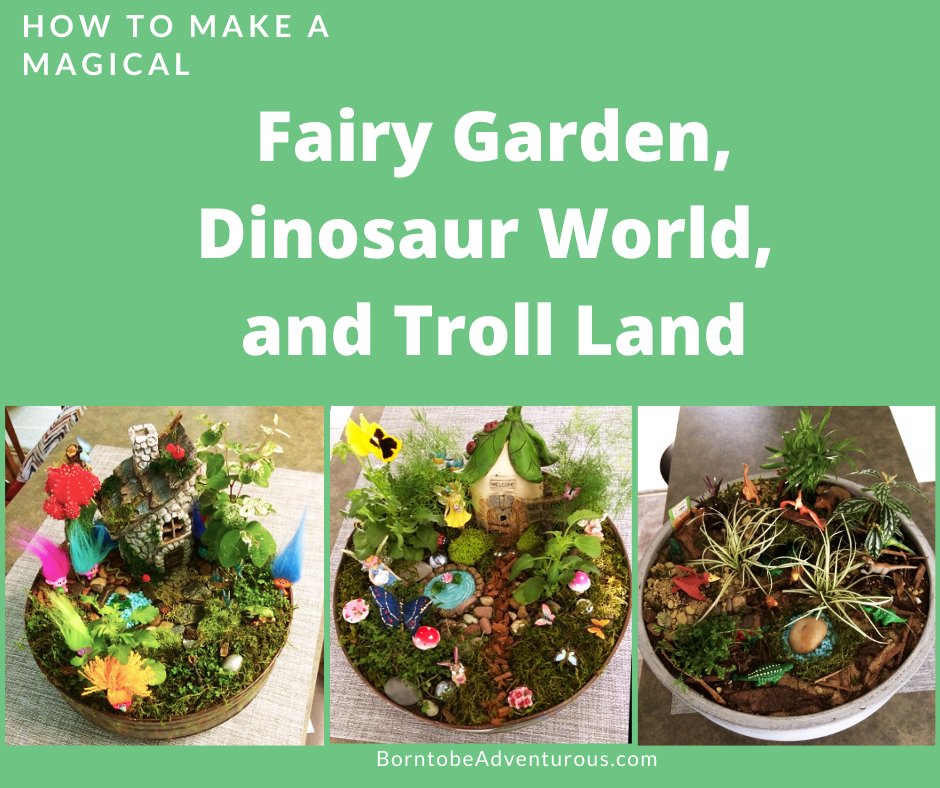 Fairy Garden, Dinosaur Garden, Troll Garden