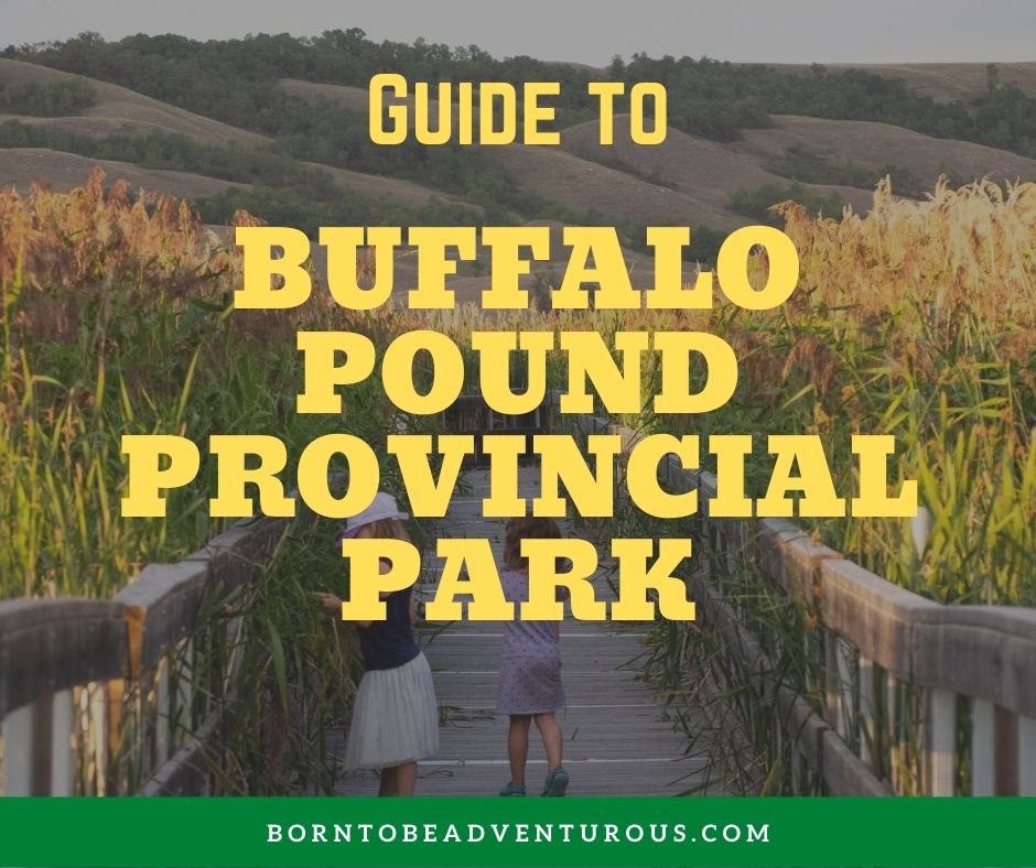 Buffalo Pound Provincial Park